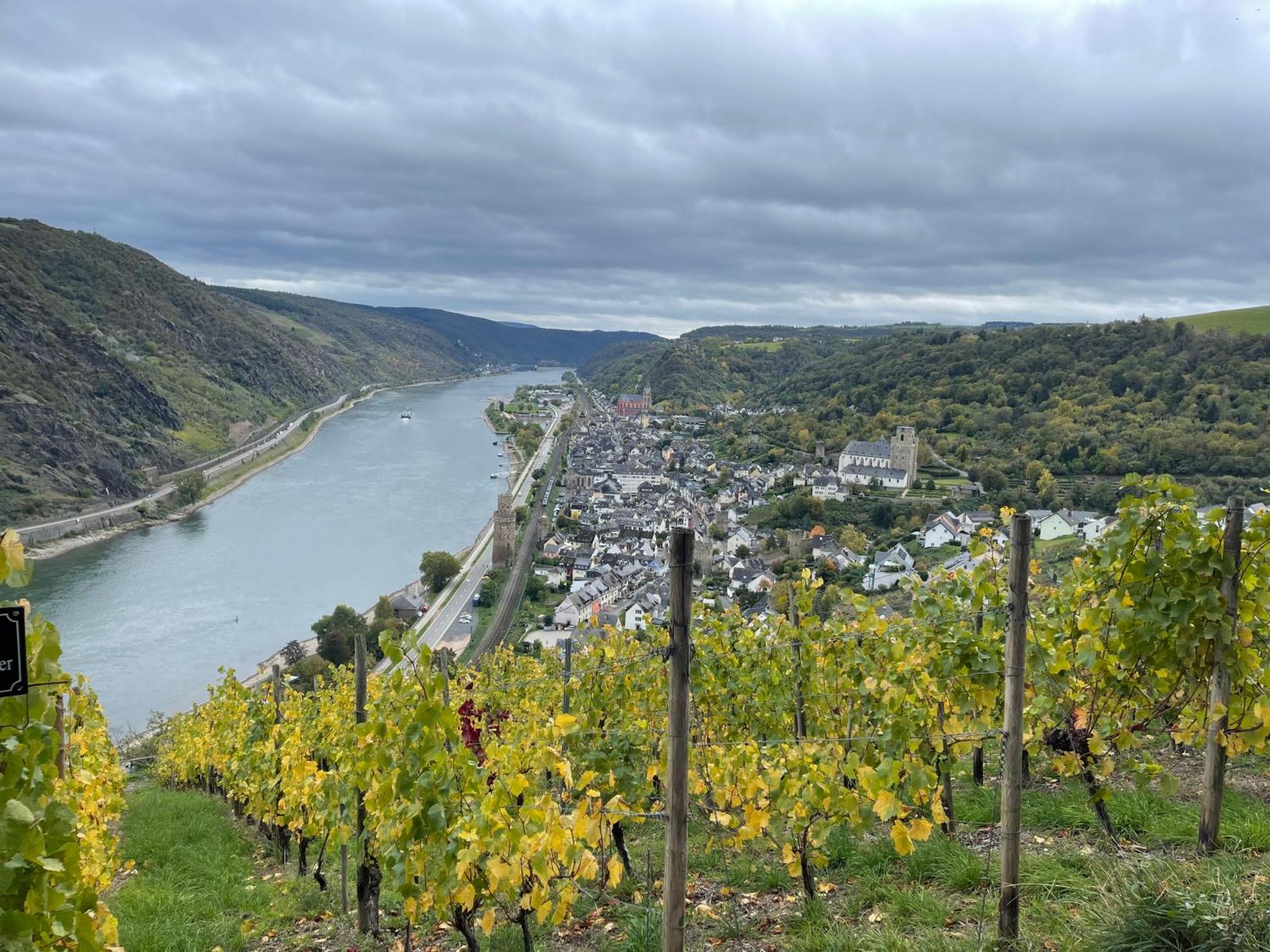 Am Apfelbaum, Ein Ferienhaus Zwischen Rhein Und Mosel Kastellaun Exterior foto