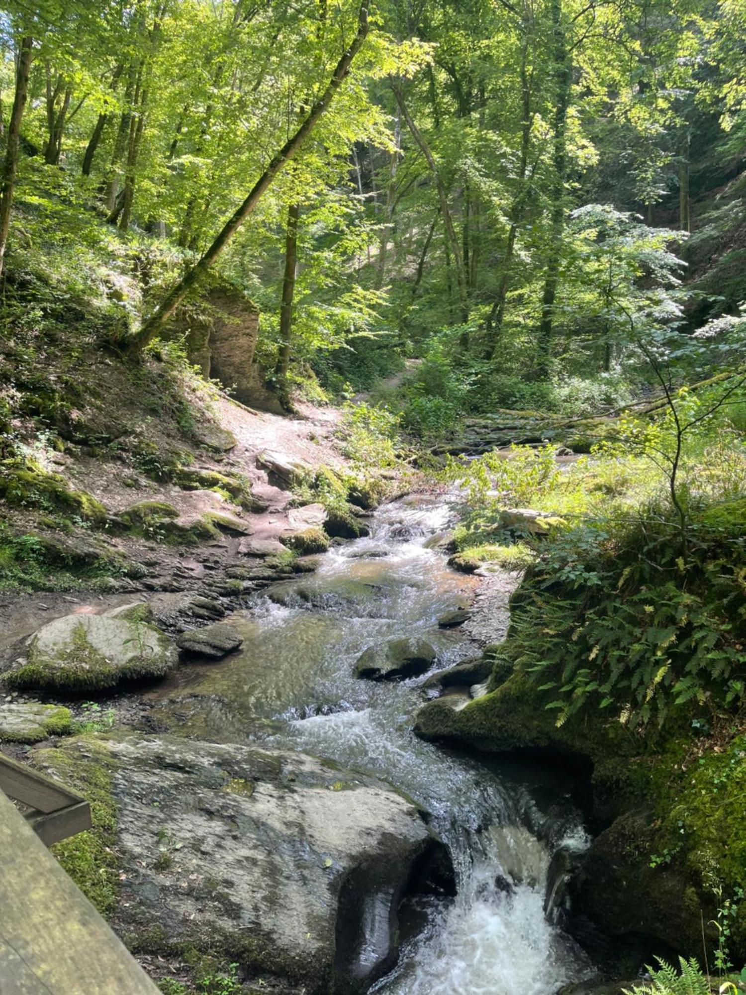 Am Apfelbaum, Ein Ferienhaus Zwischen Rhein Und Mosel Kastellaun Exterior foto